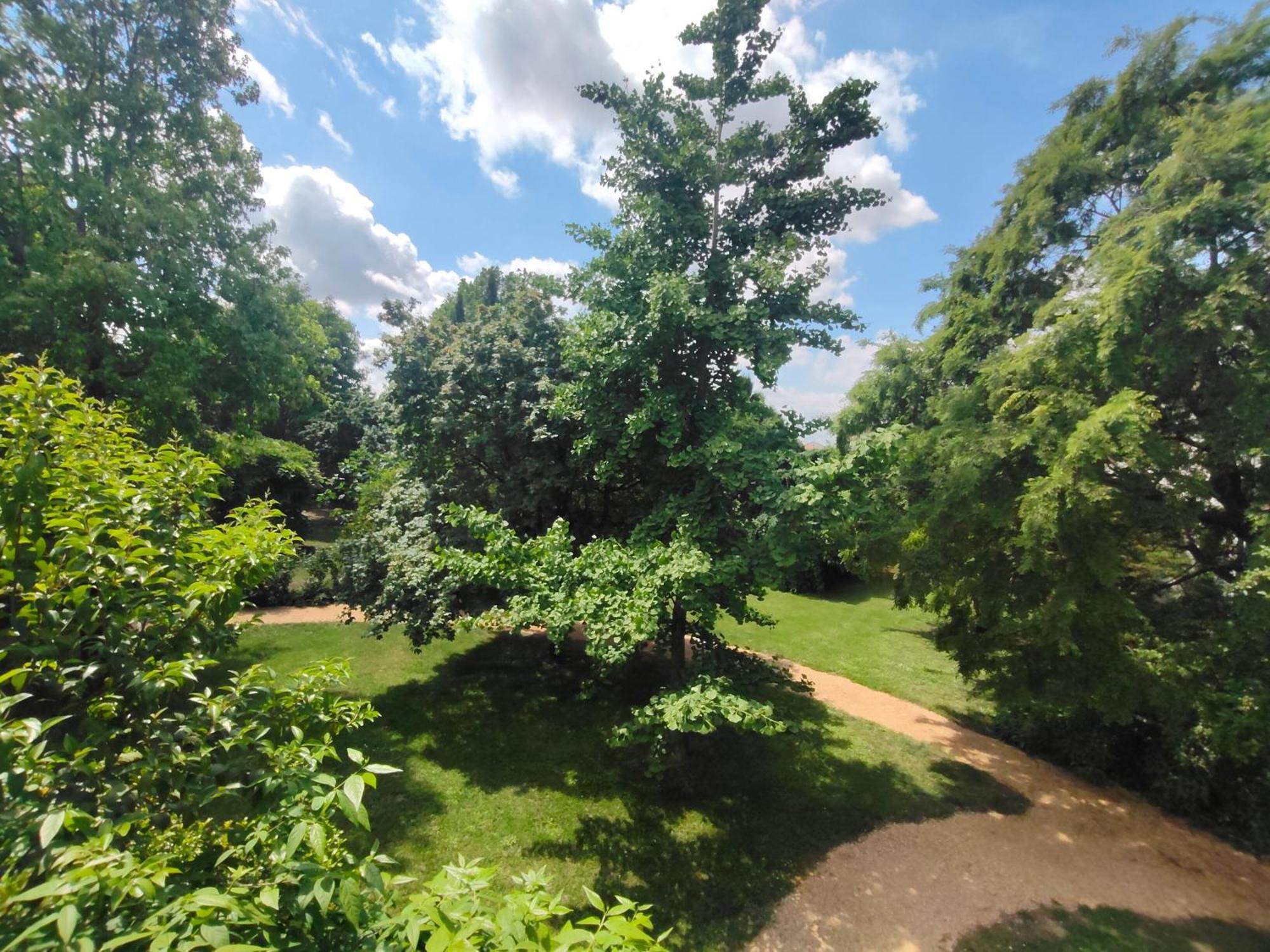 Casale Del Leon Villa Доло Екстериор снимка