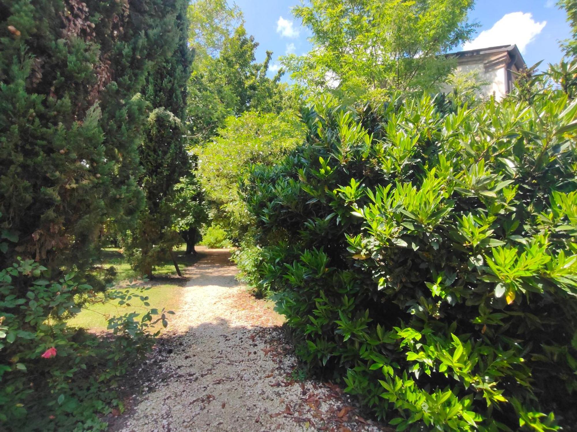 Casale Del Leon Villa Доло Екстериор снимка